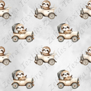 Paresseux en voiture fond gris