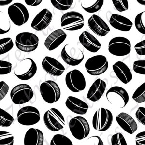 Puck de hockey fond blanc