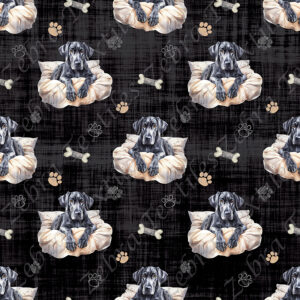 Danois sur coussin fond noir