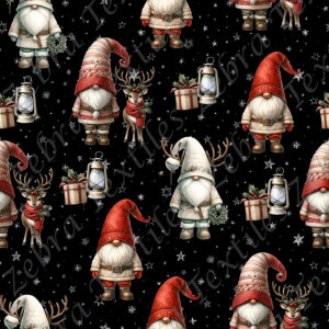 Gnome et reine fond étoilé