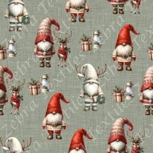 Gnome et reine fond vert