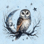 Hibou et lune fond bleu