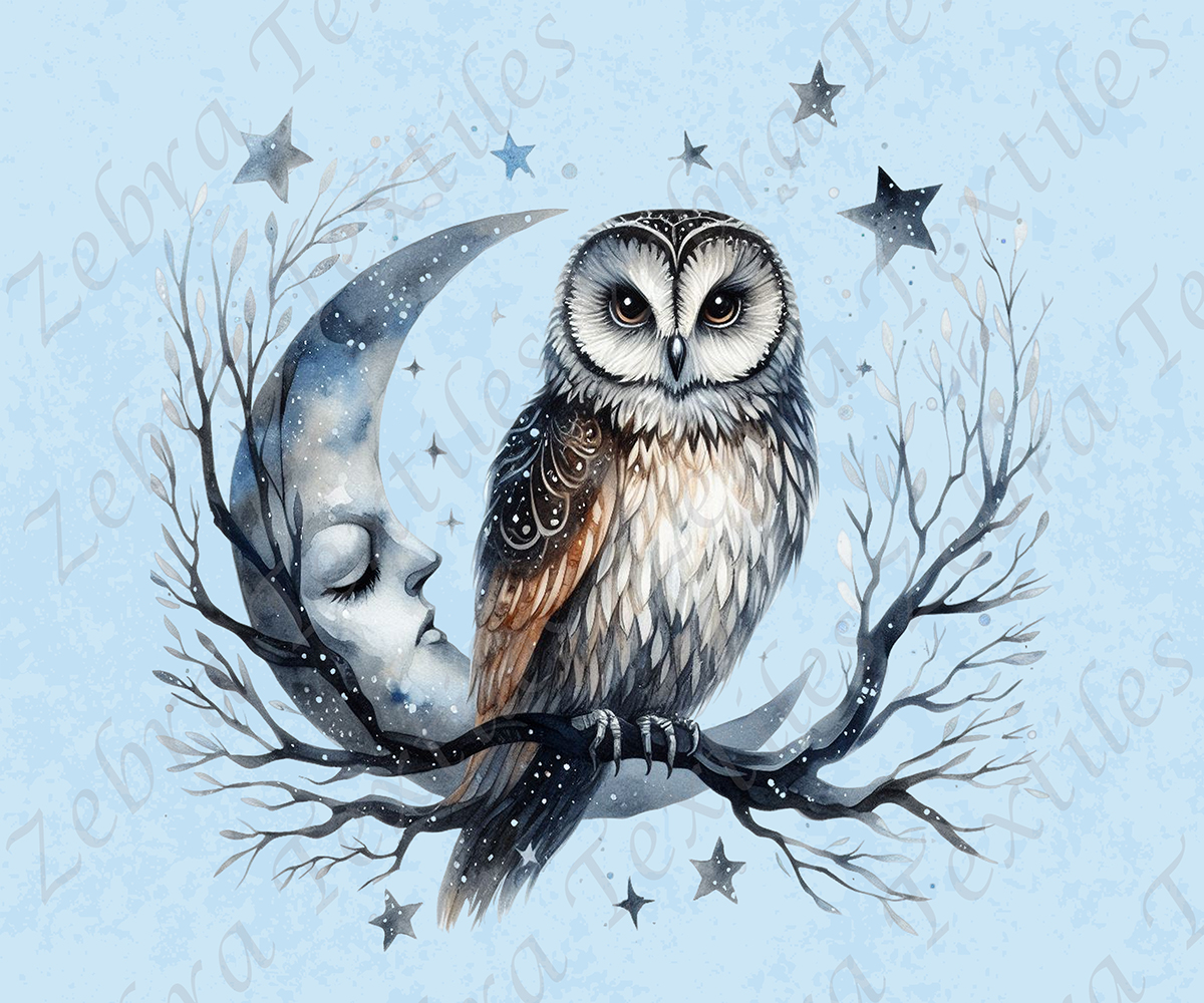 Hibou et lune fond bleu