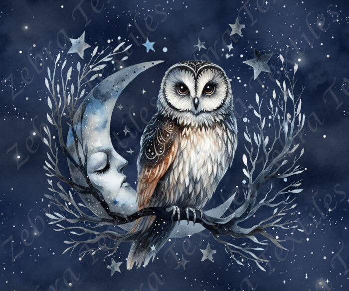 Hibou et lune fond marine