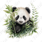 Panda et bambou fond blanc