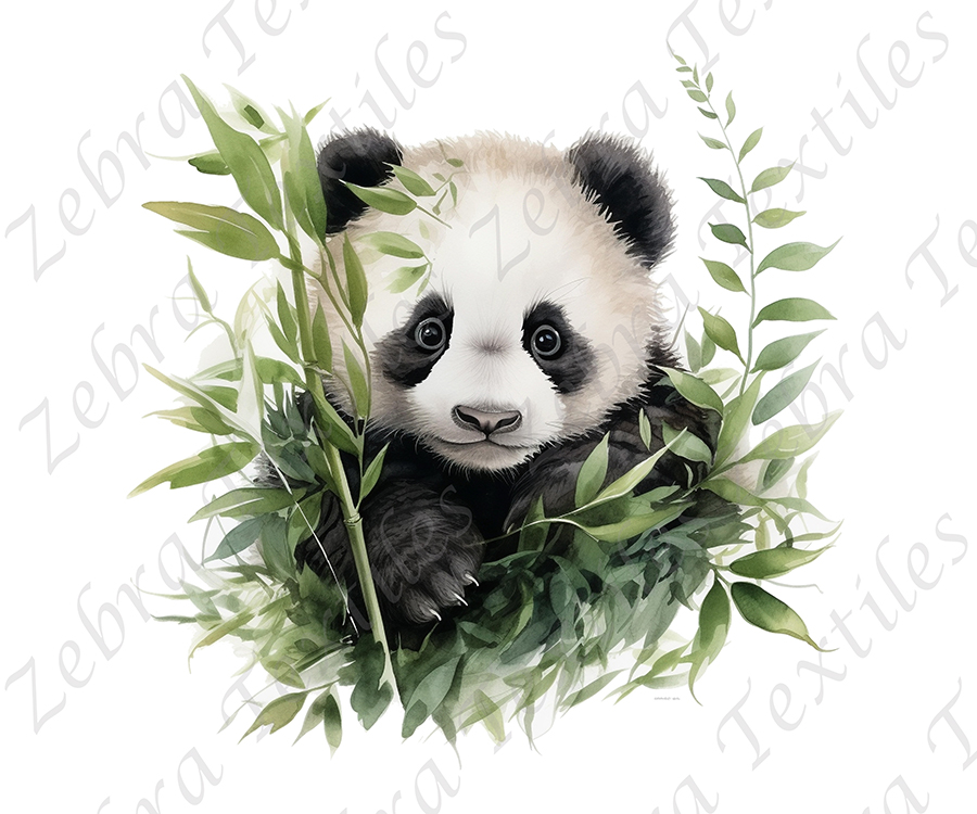 Panda et bambou fond blanc