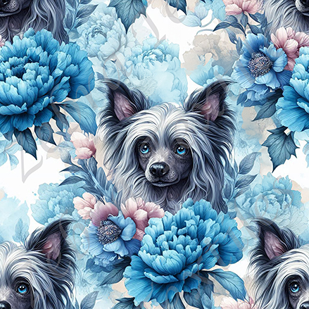 Chien nu et pivoine bleue