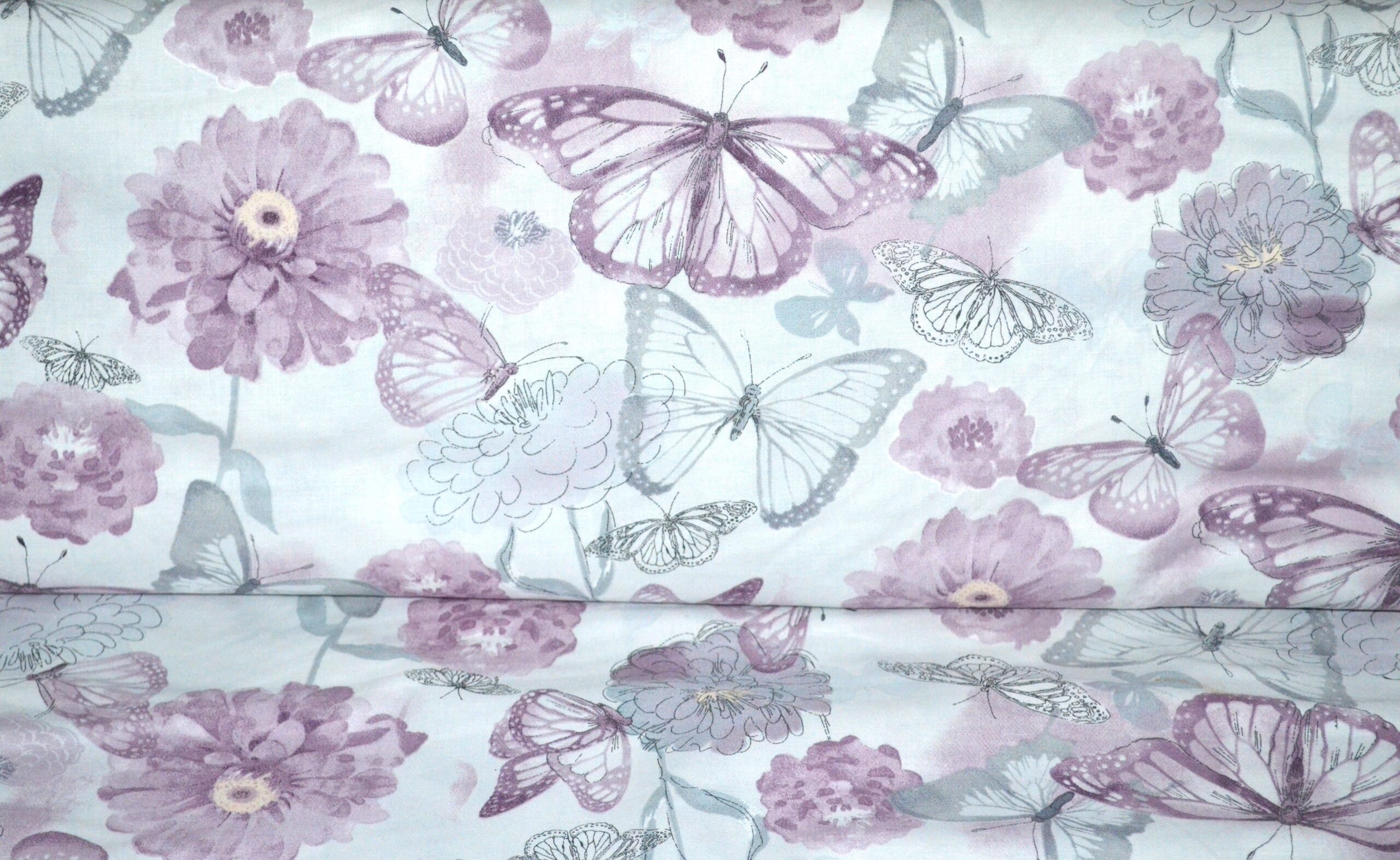 Papillon mauve et gris