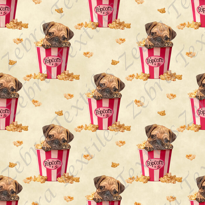 Pug et popcorn fond crème