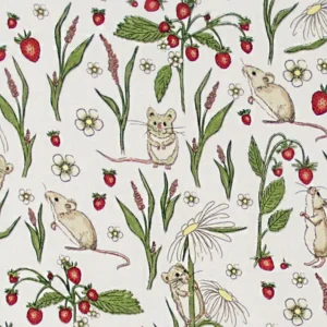 Souris et fraise