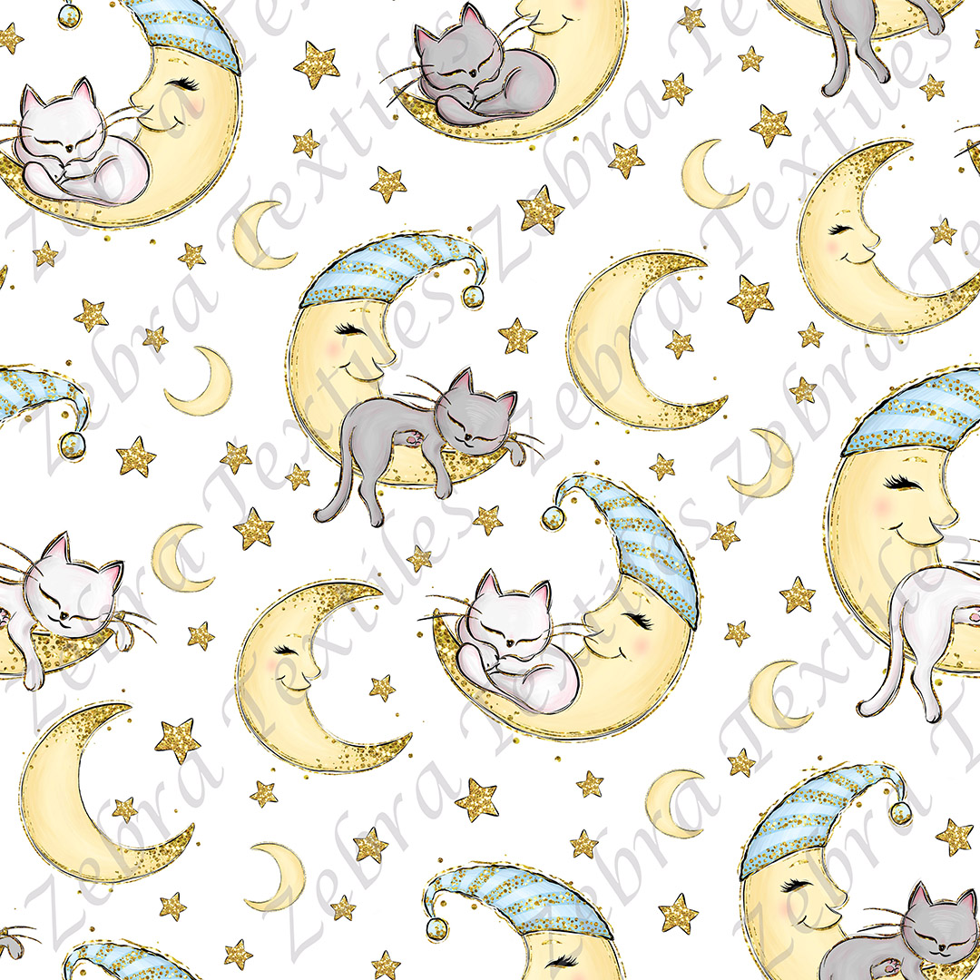 Collection chat nuit fond blanc