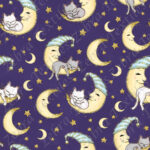 Collection chat nuit fond bleu foncé