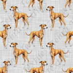 Lévrier espagnol beige fond lin