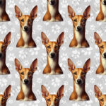 Podenco fond gris