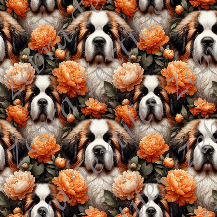 Saint-bernard et pivoine orange