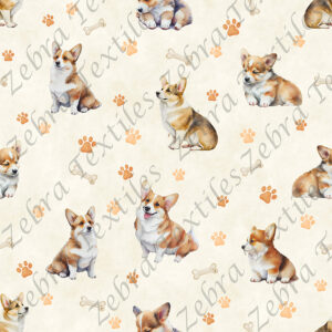 Corgi et patte fond crème