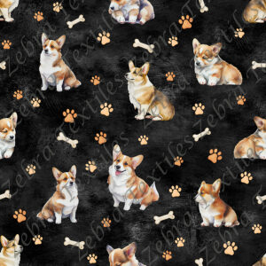 Corgi et patte fond noir