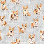 Corgi fond lin