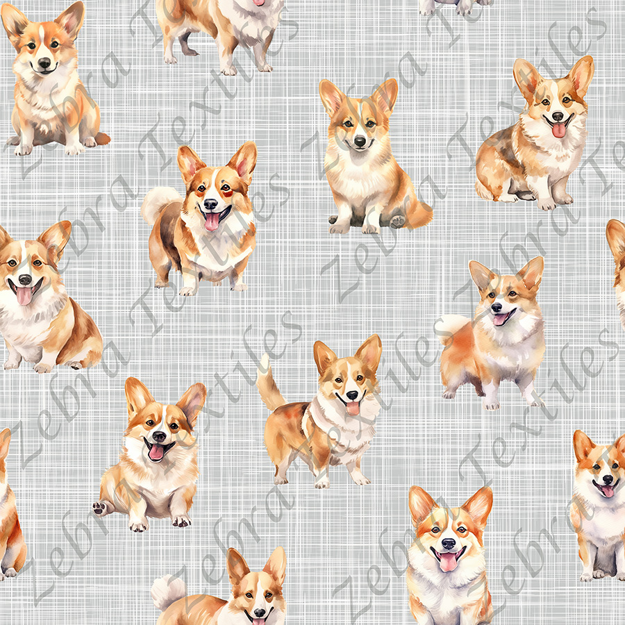 Corgi fond lin