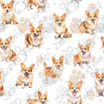 Corgi fond patte