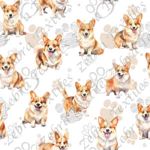 Corgi fond patte