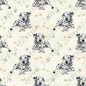 Dalmatien et os fond crème