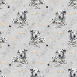 Dalmatien et os fond gris