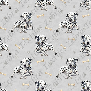 Dalmatien et os fond gris