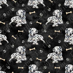 Dalmatien et os fond noir