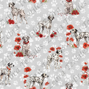 Dalmatien floral rouge fond patte