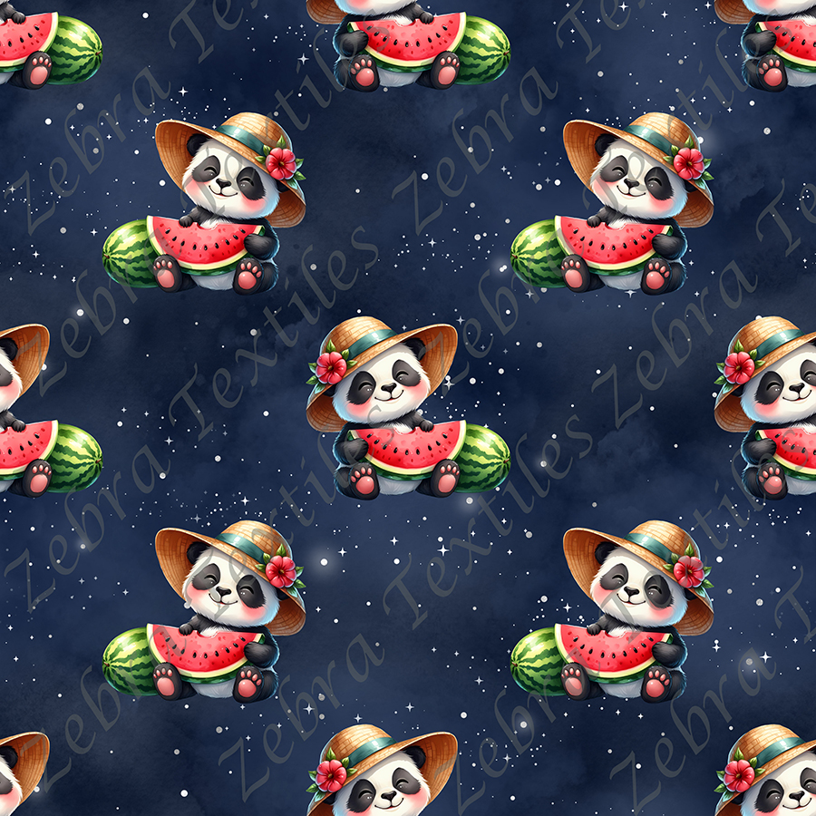 Panda chapeau et melon fond étoilé