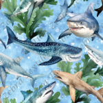 Requin en mer