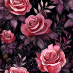 Romance sombre rosé