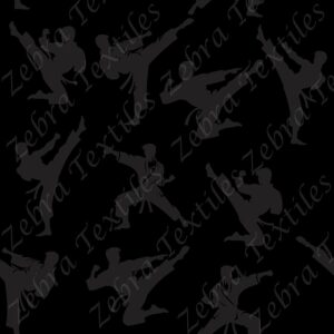 Arts martiaux gris fond noir
