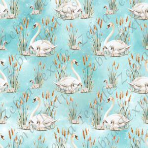 Cygne blanc et bébé fond aqua