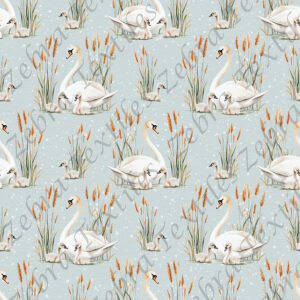 Cygne blanc et bébé fond pois