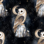 Hibou et cristaux