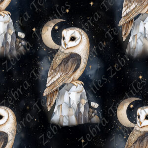 Hibou et cristaux