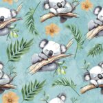 Koala et feuillage fond aqua