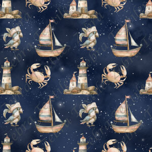 Oiseau pirate et bateau fond étoilé