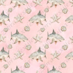 Requin et coquillage fond rose