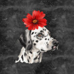 Tête 1 dalmatien floral rouge fond noir