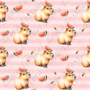 Capybara melon 2 fond rayé