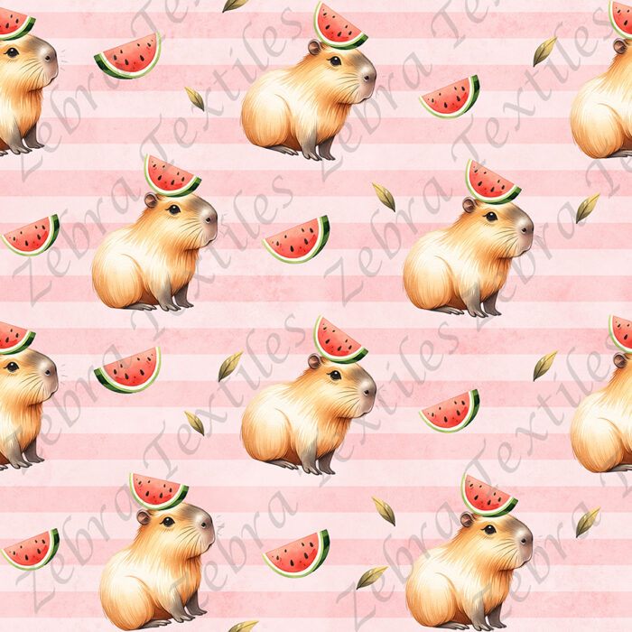 Capybara melon 2 fond rayé