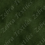Abstrait vert forêt