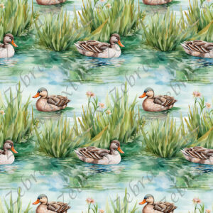 Canard sur un lac
