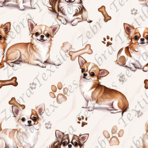 Chihuahua fond crème
