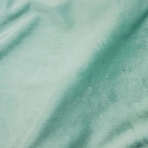 Minky menthe plaid