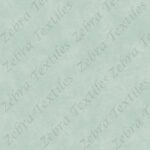 Sarcelle aquarelle