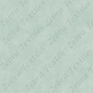 Sarcelle aquarelle